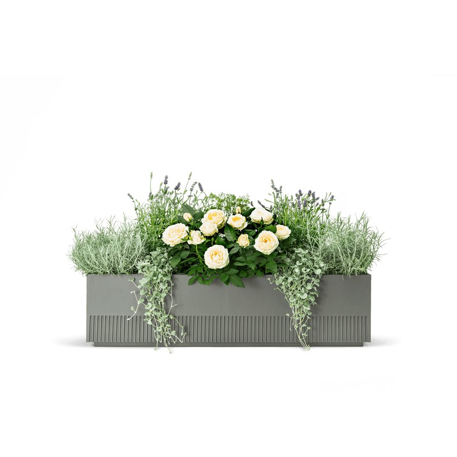 Balkonbox Lavender Love