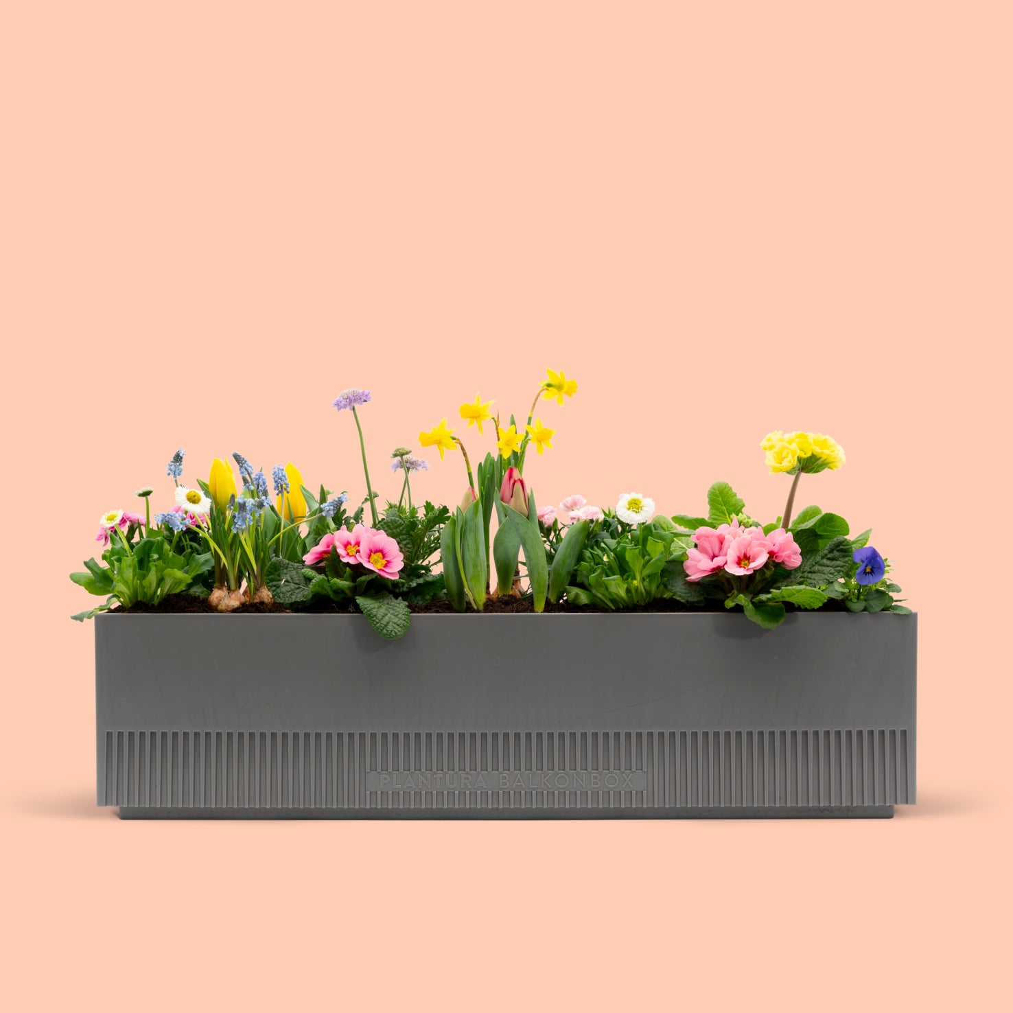 Balkonbox Pastel Dreams