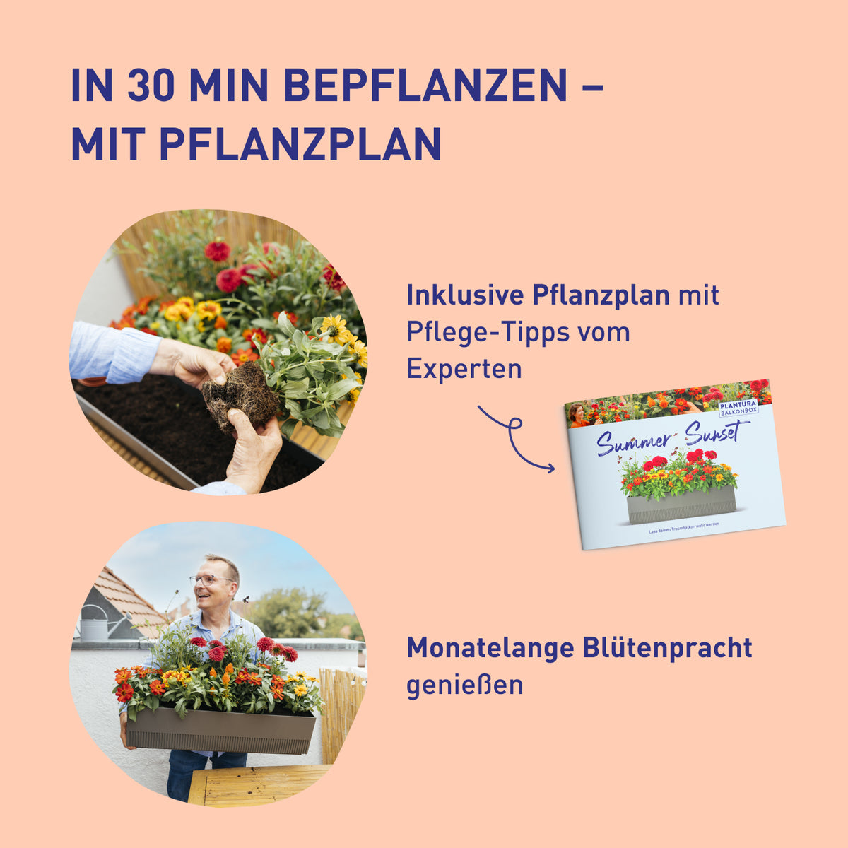 Balkonbox Pastel Dreams zum Selbstbepflanzen
