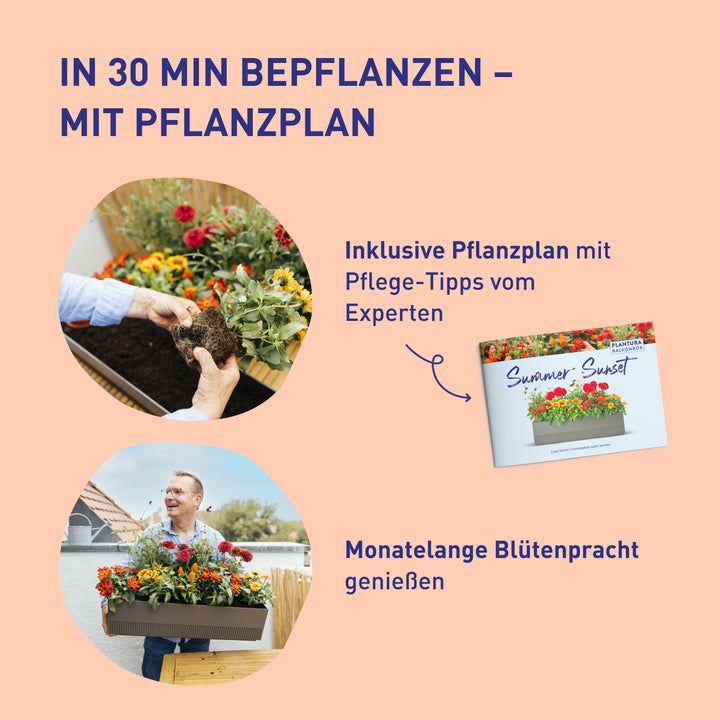 Balkonbox Pet Paradise zum Selbstbepflanzen