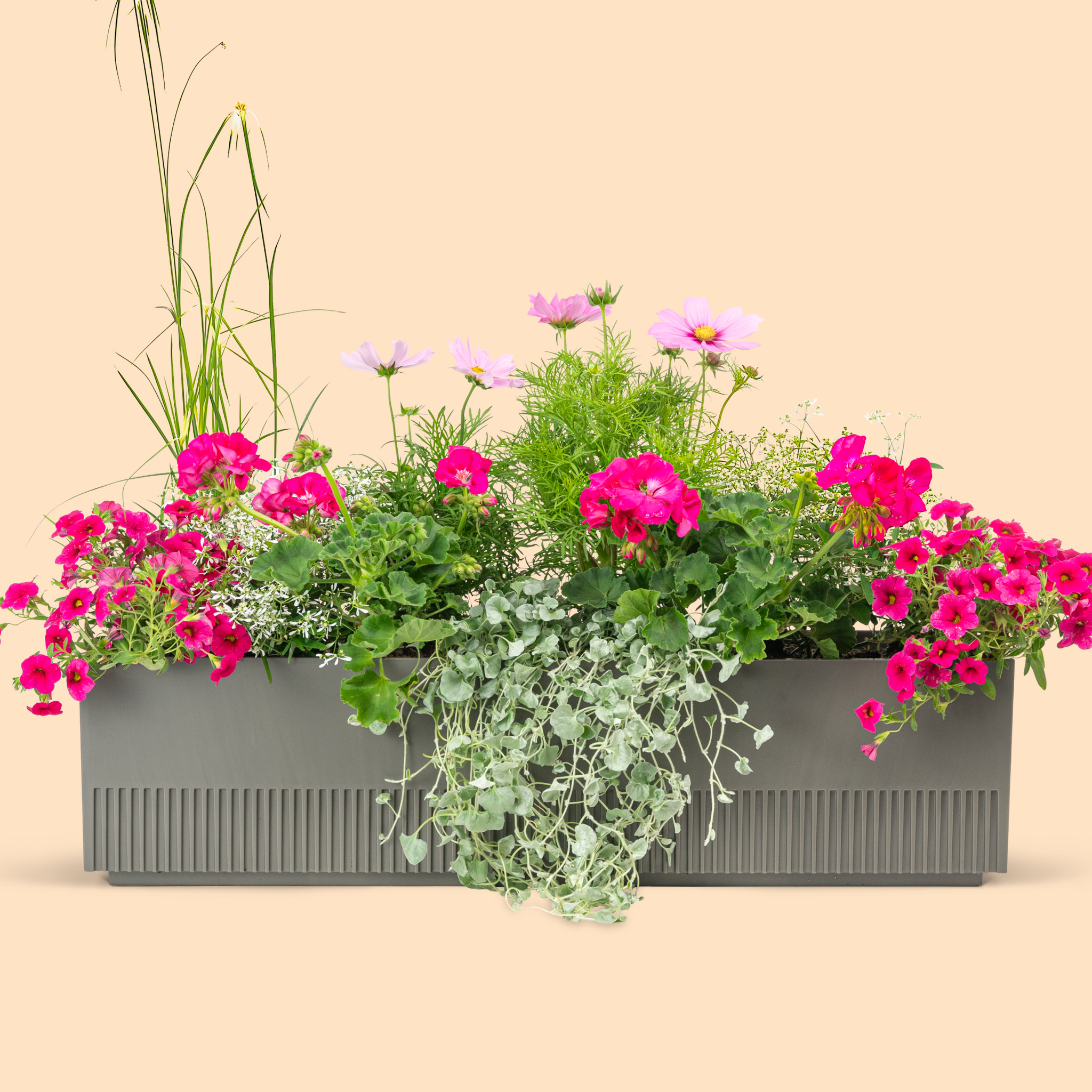 Balkonbox Pink Paradise