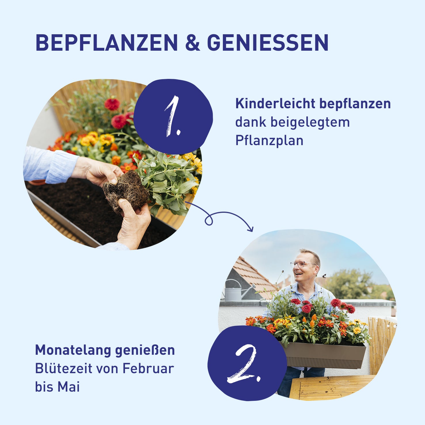 Balkonbox Rosy Kiss zum Selbstbepflanzen
