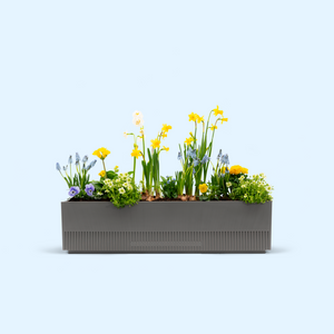 Balkonbox Spring Breeze