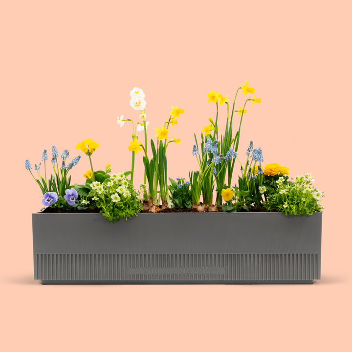 Balkonbox Spring Breeze kaufen