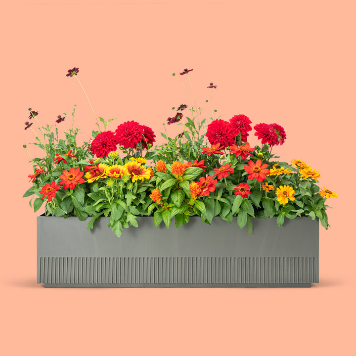 Balkonbox Summer Sunset