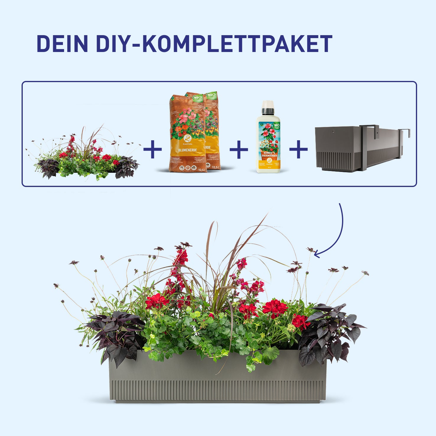 Balkonkasten Dark Bloom als DIY-Komplettset