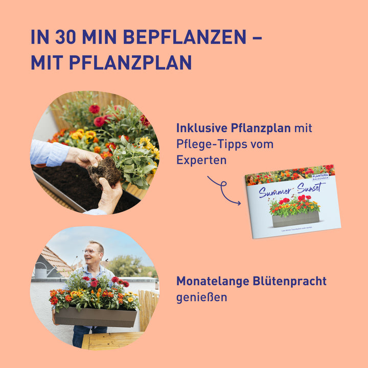 Balkonkasten Desert Dream zum Selbstbepflanzen