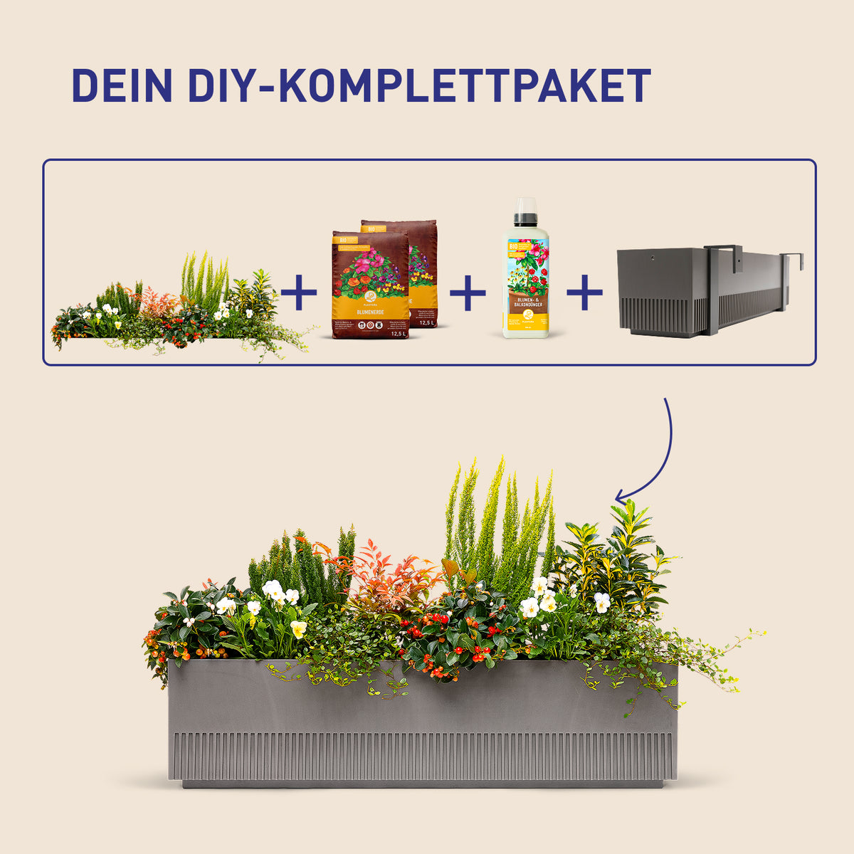 Balkonkasten Evergreen Elegance als DIY-Komplettset