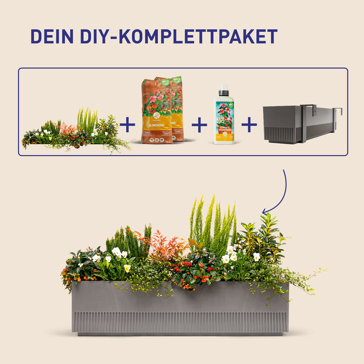 Balkonkasten Evergreen Elegance als DIY-Komplettset