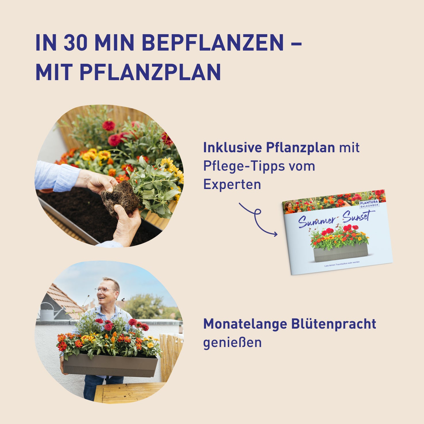 Balkonkasten Evergreen Elegance zum Selbstbepflanzen