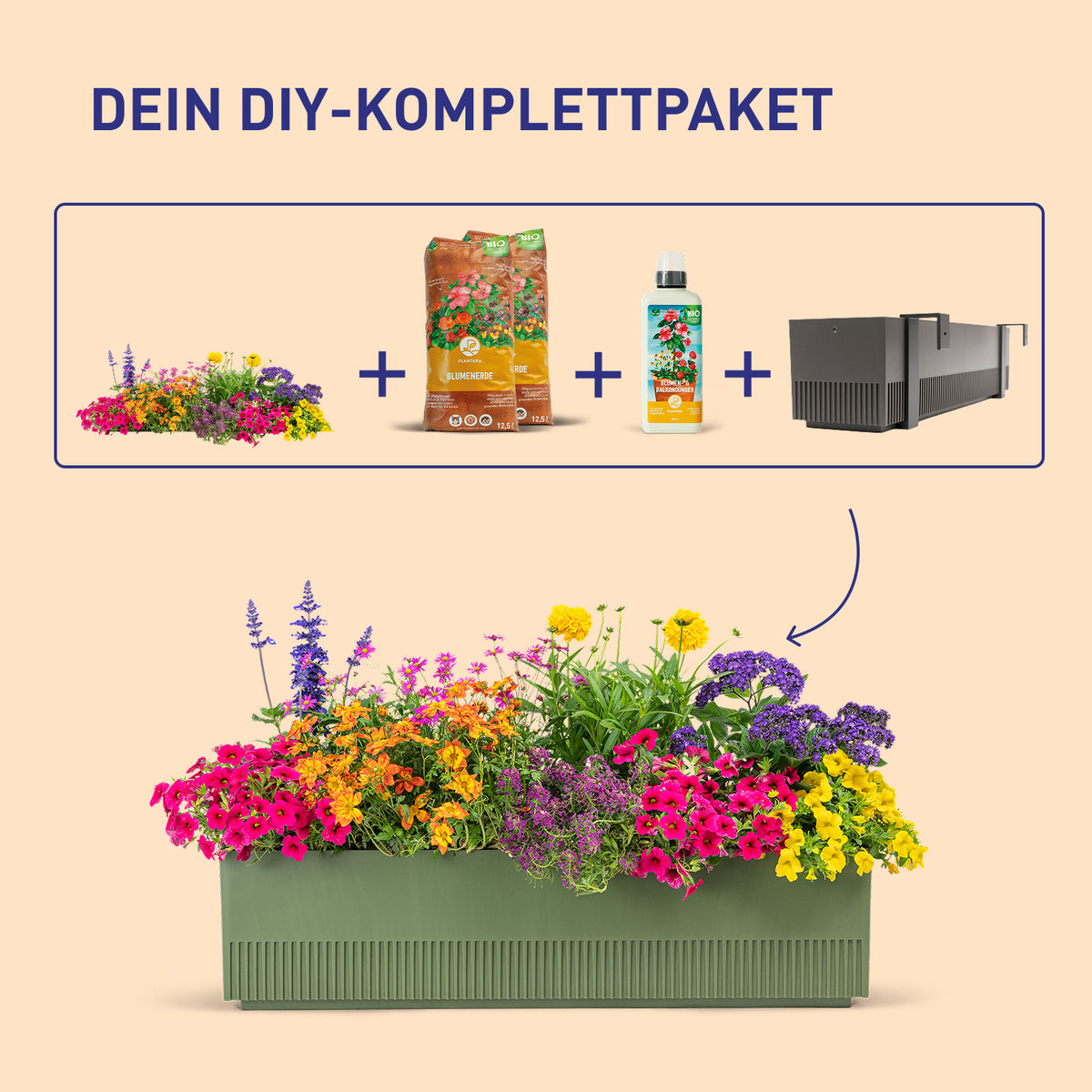 Balkonkasten Flower Power als DIY-Komplettset