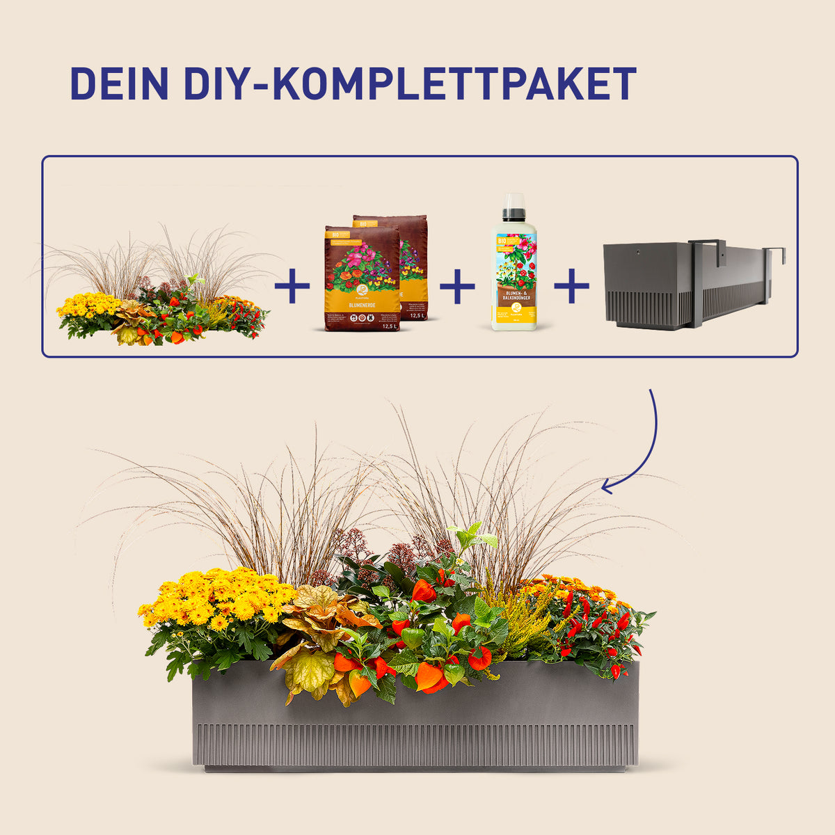 Balkonkasten Golden Fall als DIY-Komplettset