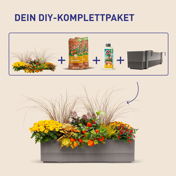 Balkonkasten Golden Fall als DIY-Komplettset