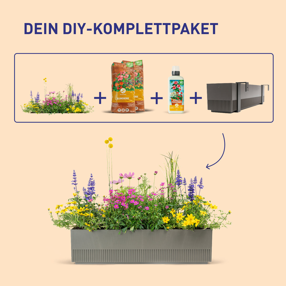 Balkonkasten Happy Bee als DIY-Komplettset