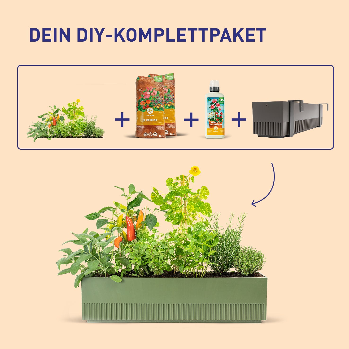 Balkonkasten Homegrown als DIY-Komplettset