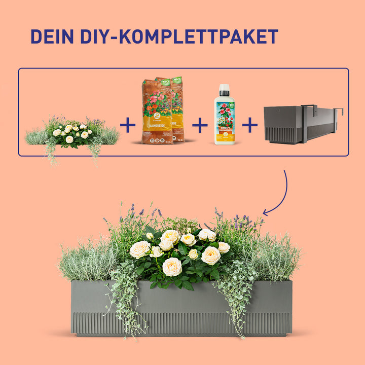 Balkonkasten Lavender Love als DIY-Komplettset