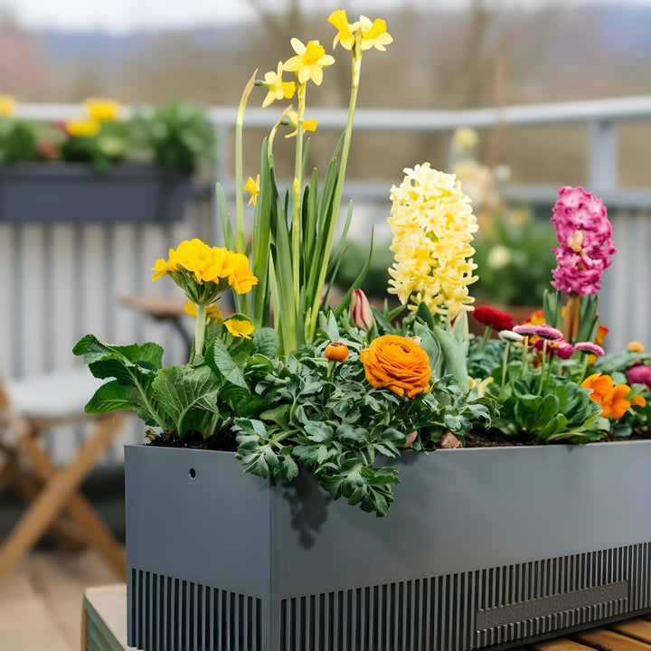 Balkonkasten Pflanzen-Set Floral Rainbow