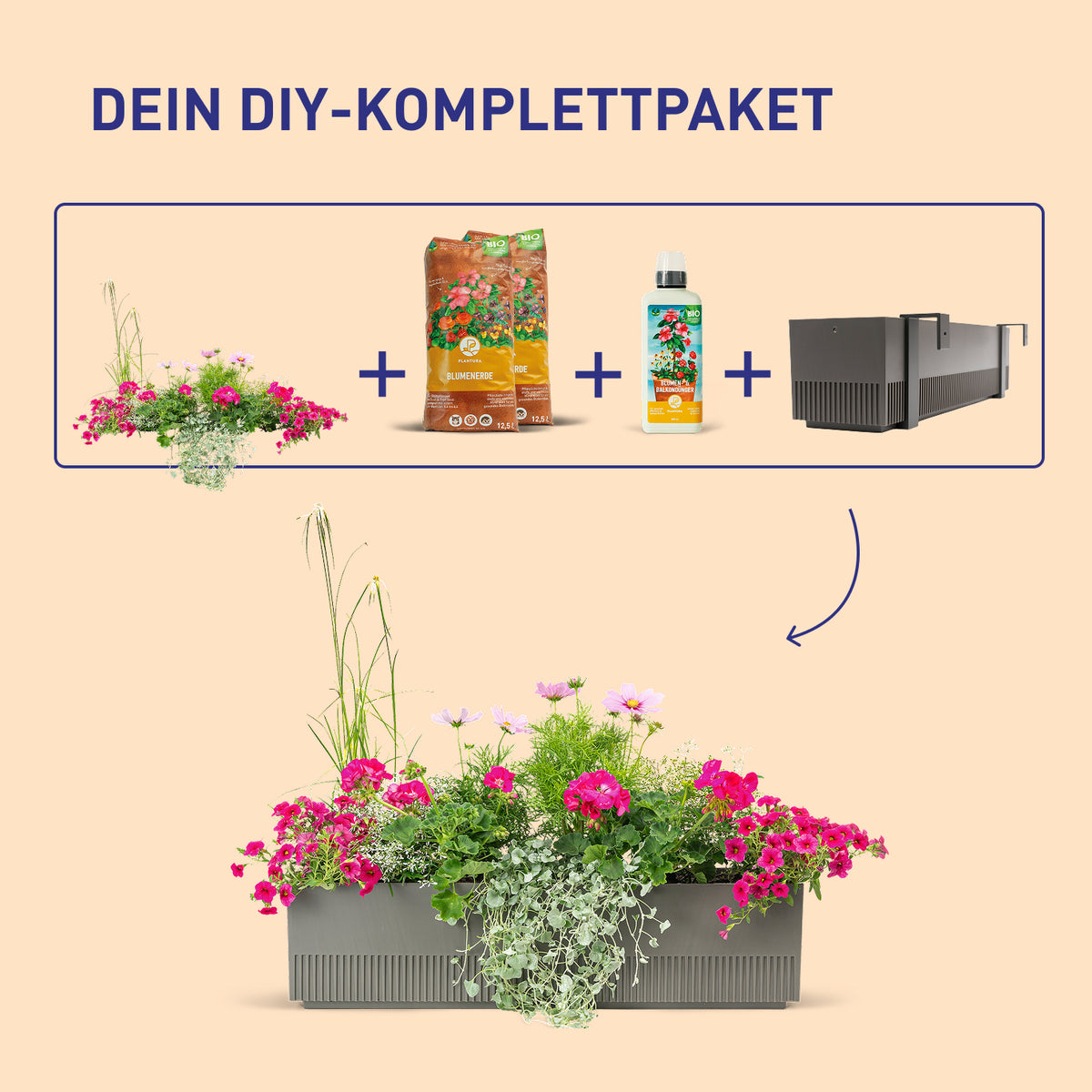 Balkonkasten Pink Paradise als DIY-Komplettset