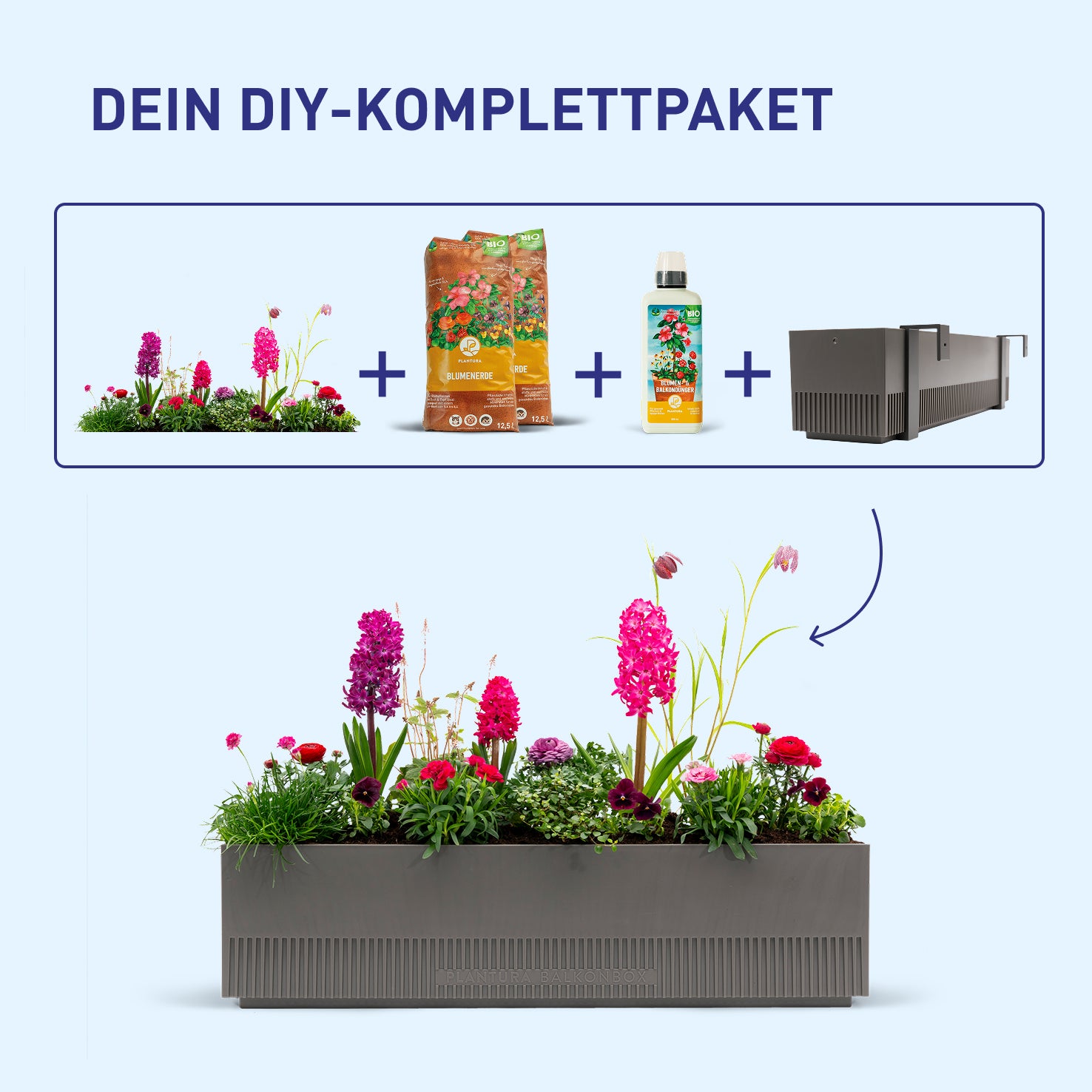 Balkonkasten Rosy Kiss als DIY-Komplettset