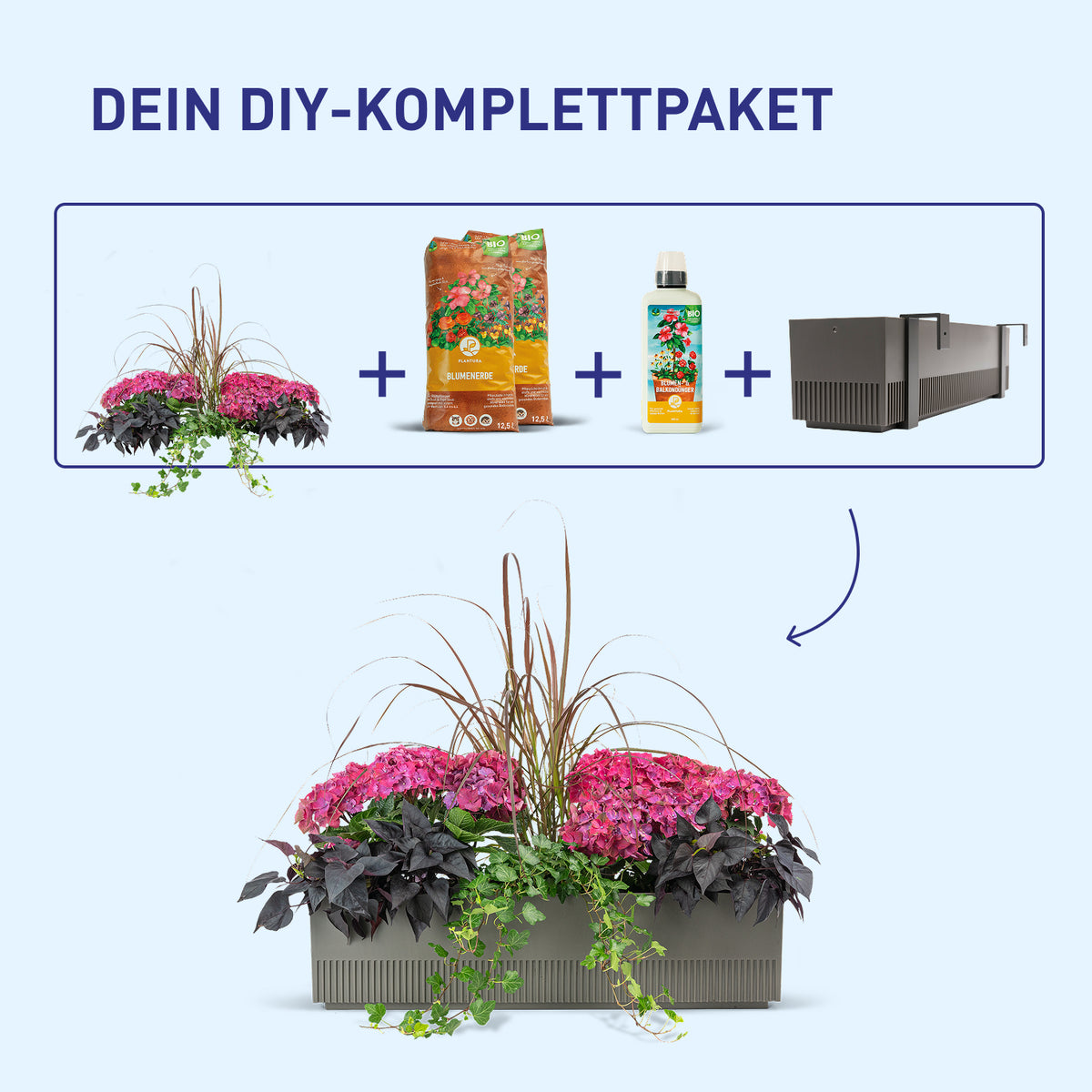 Balkonkasten Rosy Velvet als DIY-Komplettset