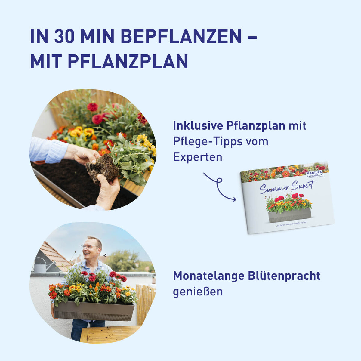 Balkonkasten Rosy Velvet zum Selbstbepflanzen