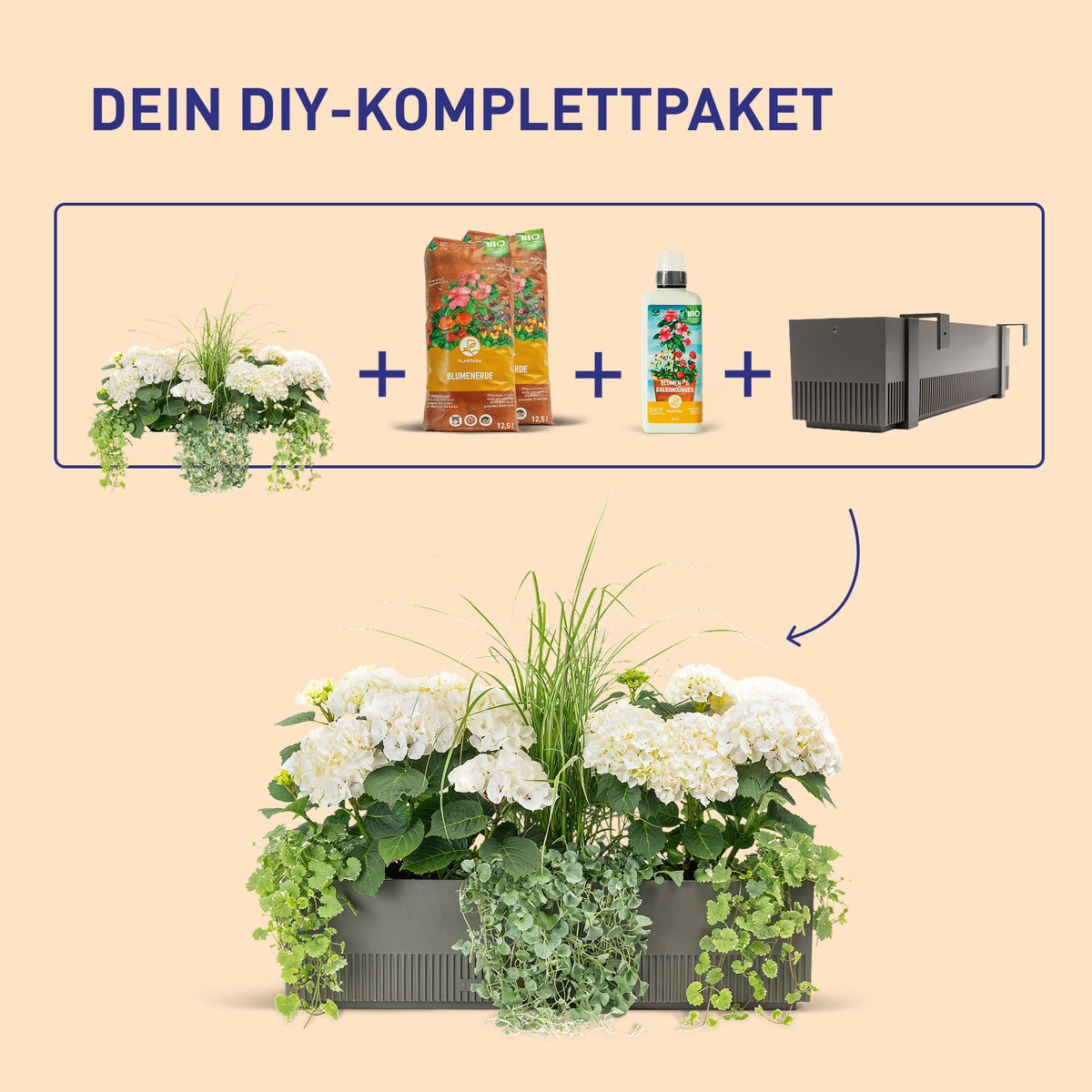 Balkonkasten Royal White als DIY-Komplettset
