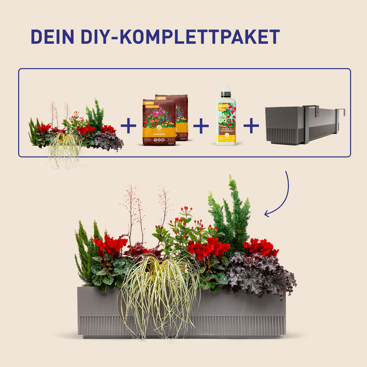 Balkonkasten Ruby Red als DIY-Komplettset