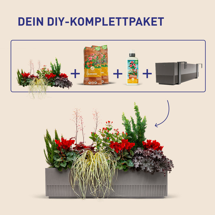 Balkonkasten Ruby Red als DIY-Komplettset