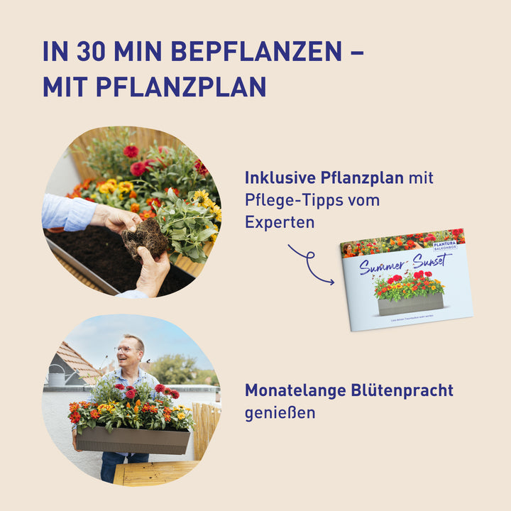 Balkonkasten Ruby Red zum Selbstbepflanzen