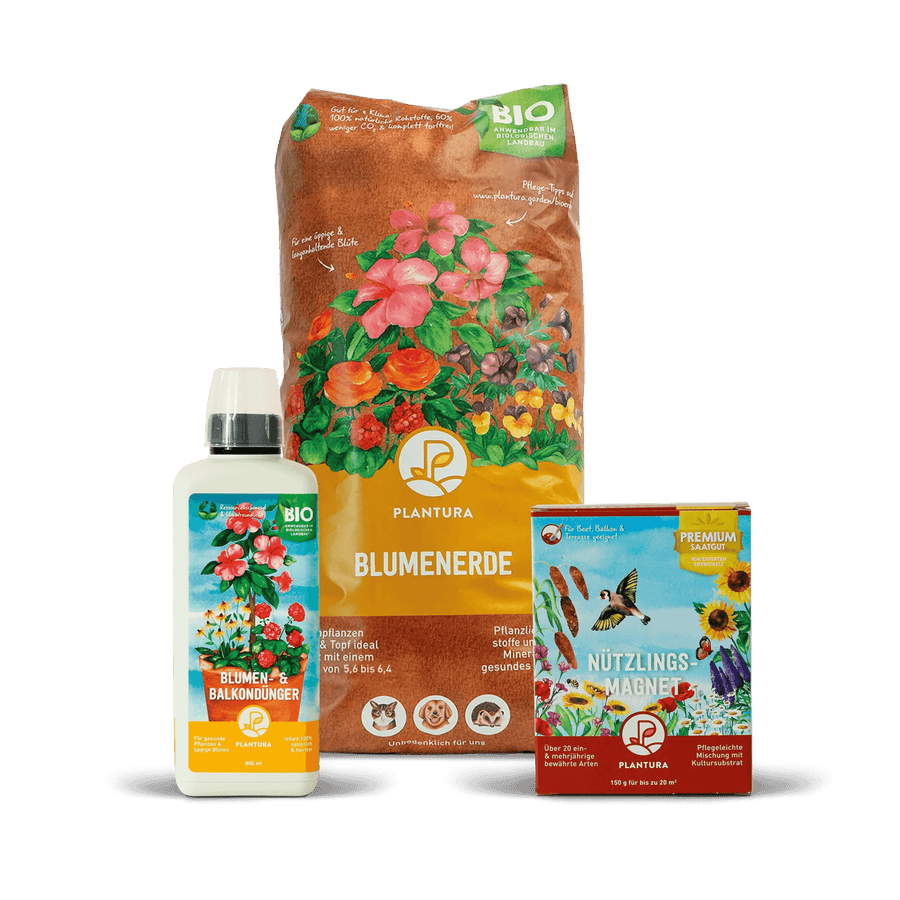 Balkonoase Starter-Set