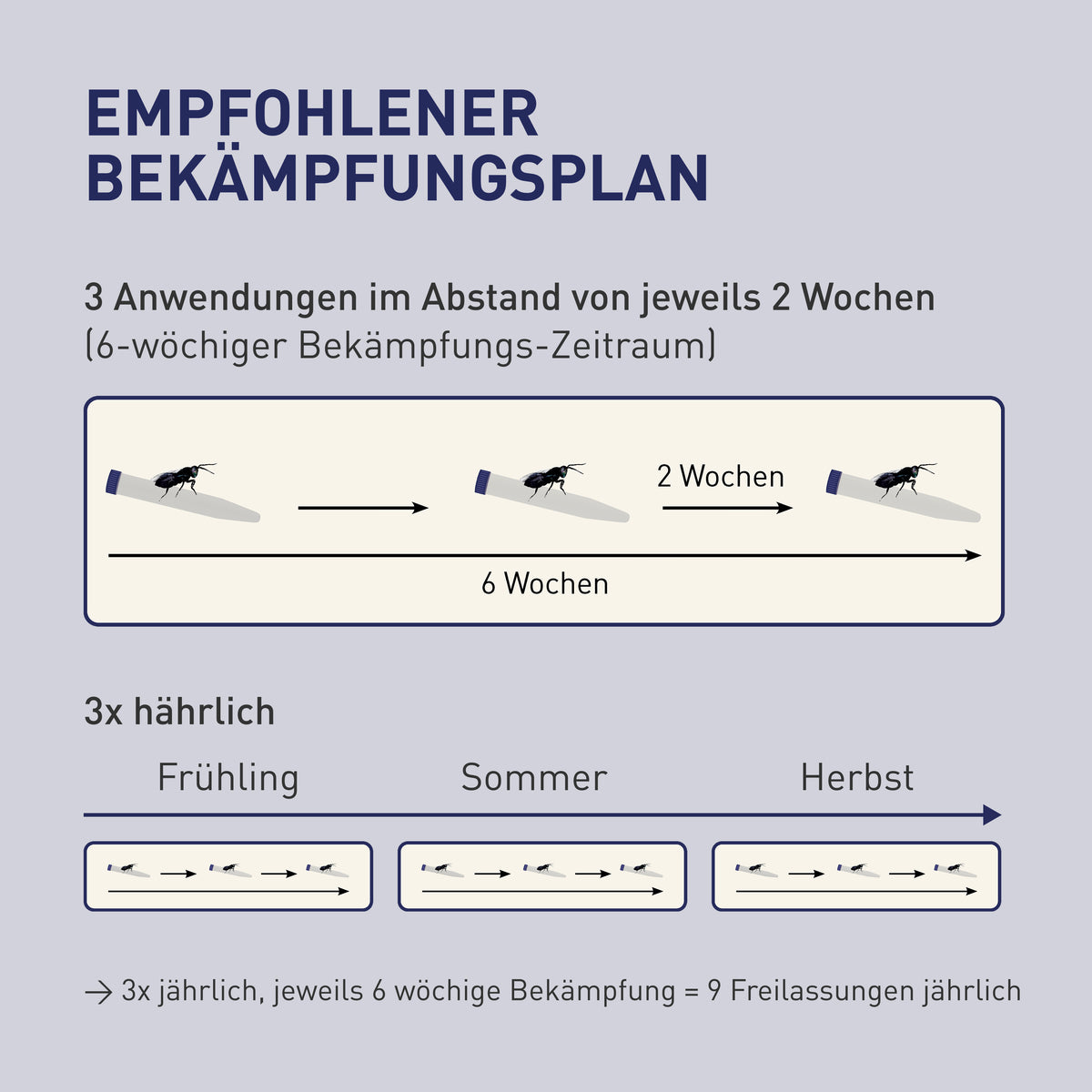 Bekämpfungsplan von Lagererzwespen gegen Messingkäfer