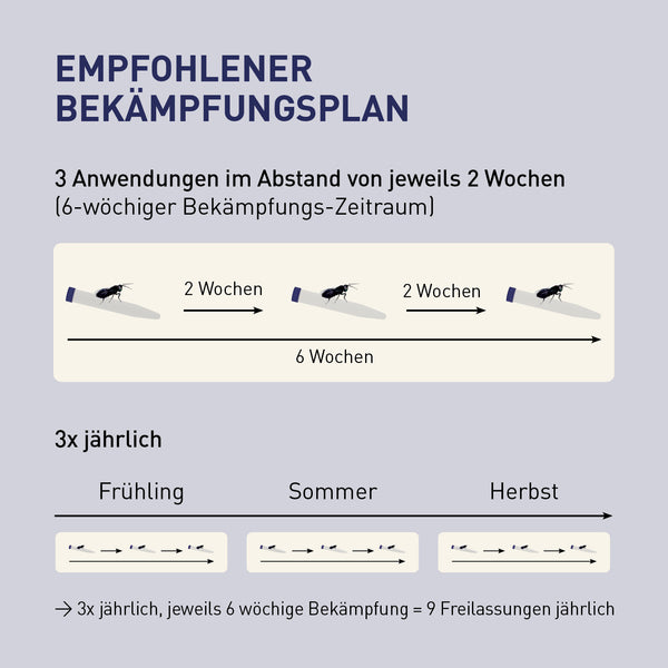 Bekämpfungsplan von Lagererzwespen gegen Messingkäfer