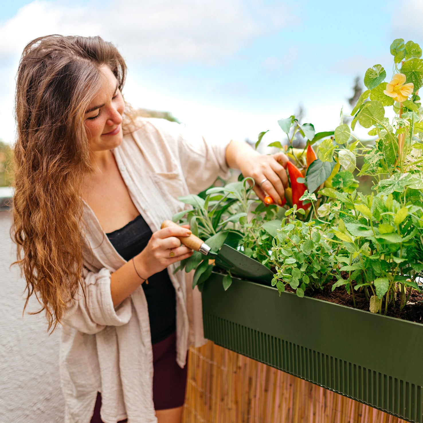 Fertig bepflanzter Balkonkasten Homegrown