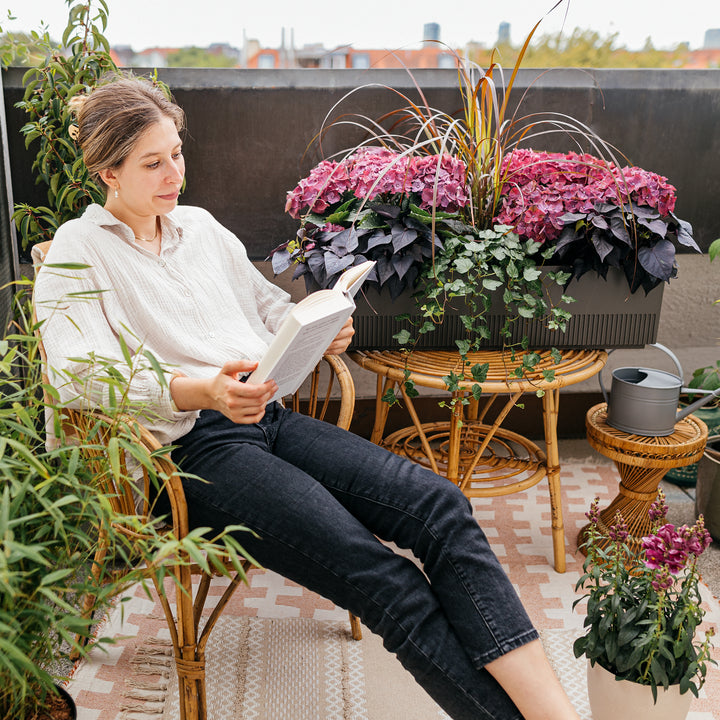 Balkonbox Rosy Velvet kaufen