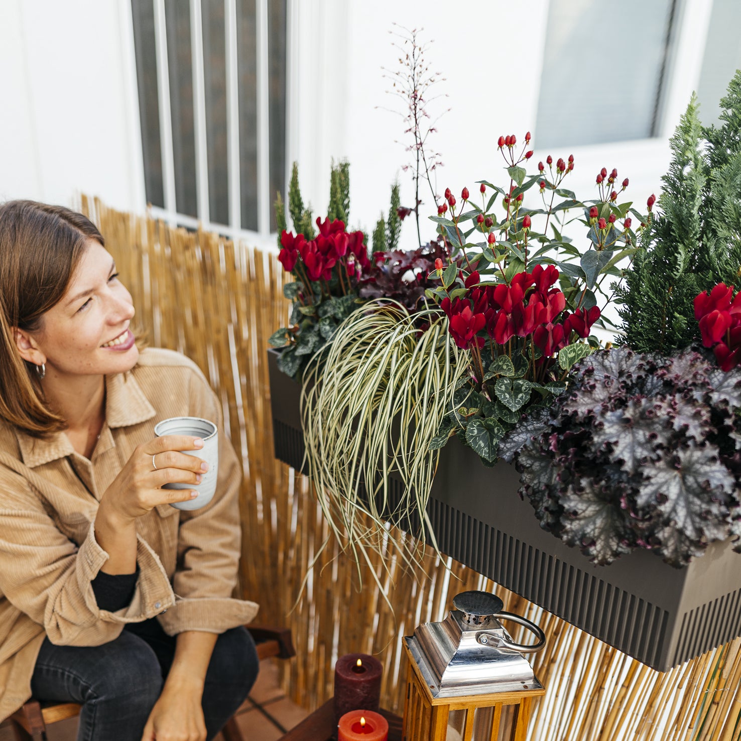 repo blumenkasten Balkonbox Ruby Red kaufen