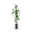 Berg-Waldrebe 'Mayleen'