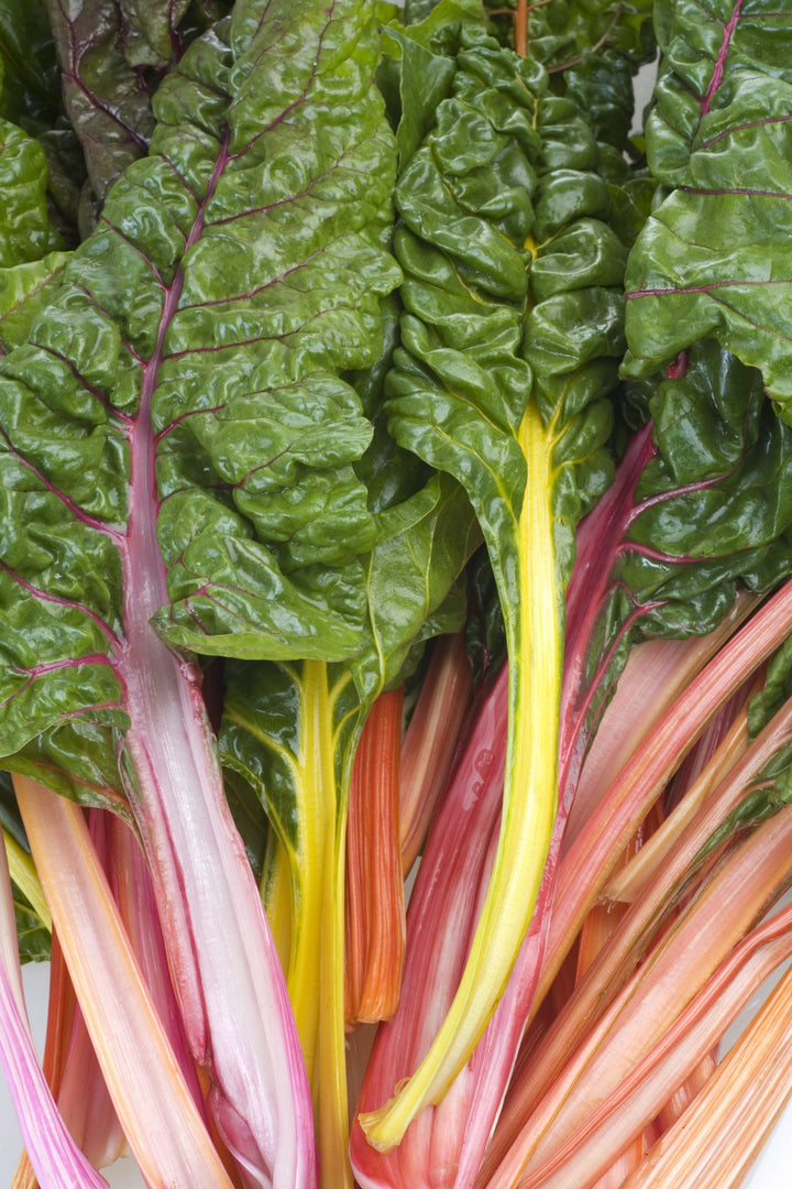 Beta vulgaris convar. cicla 'Bright Lights'