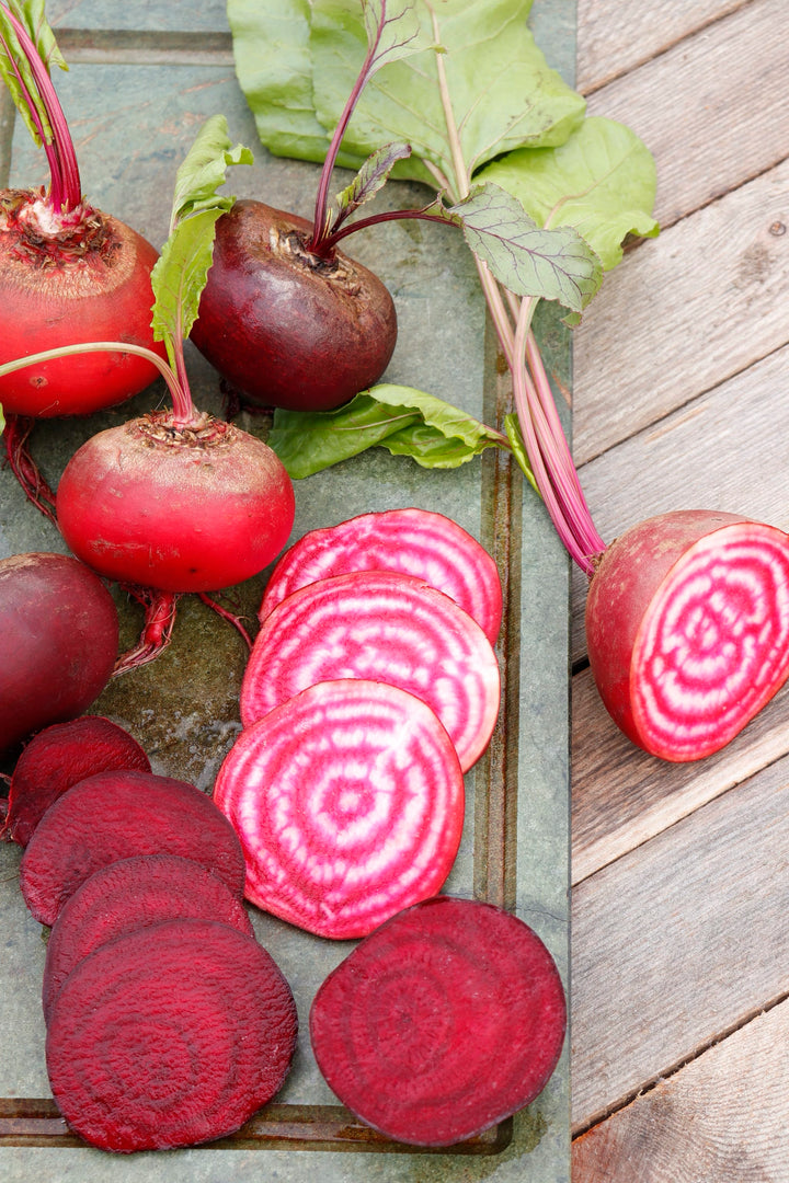 Beta vulgaris var. conditiva 'Chioggia'