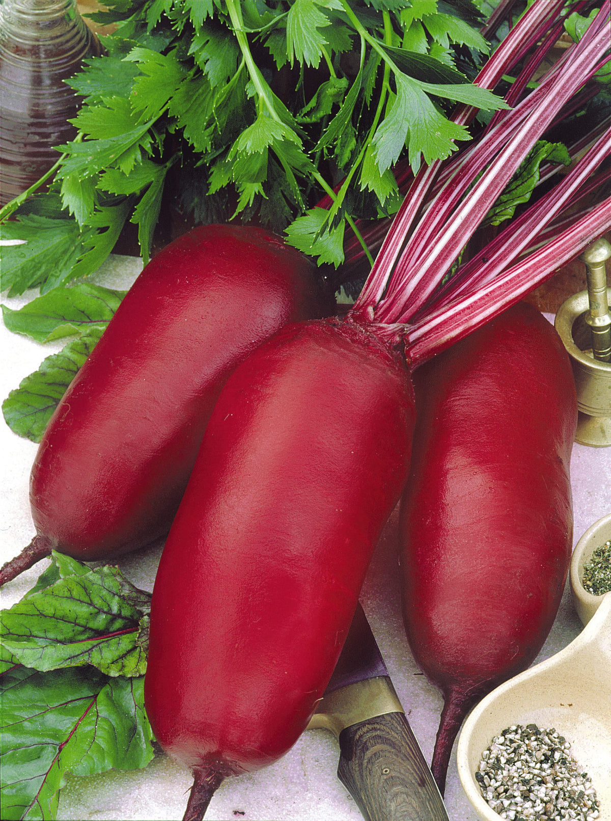 Beta vulgaris var. conditiva 'Cylindra'