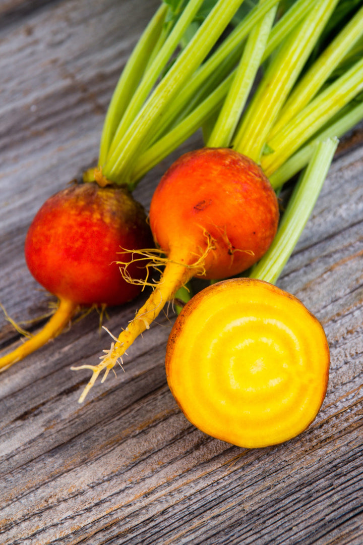 Beta vulgaris var. conditiva 'Golden'