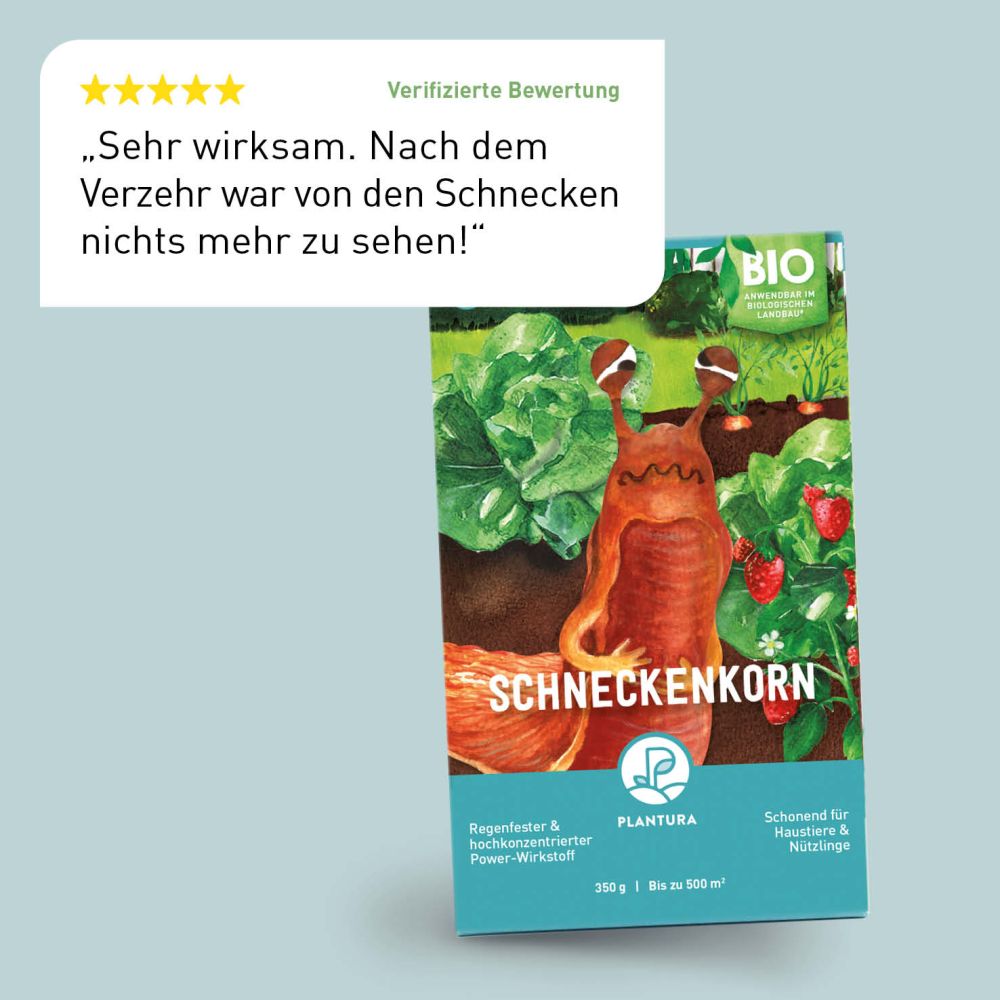 Bewertung des Bio-Schneckenkorns mit Eisen-III-phosphat
