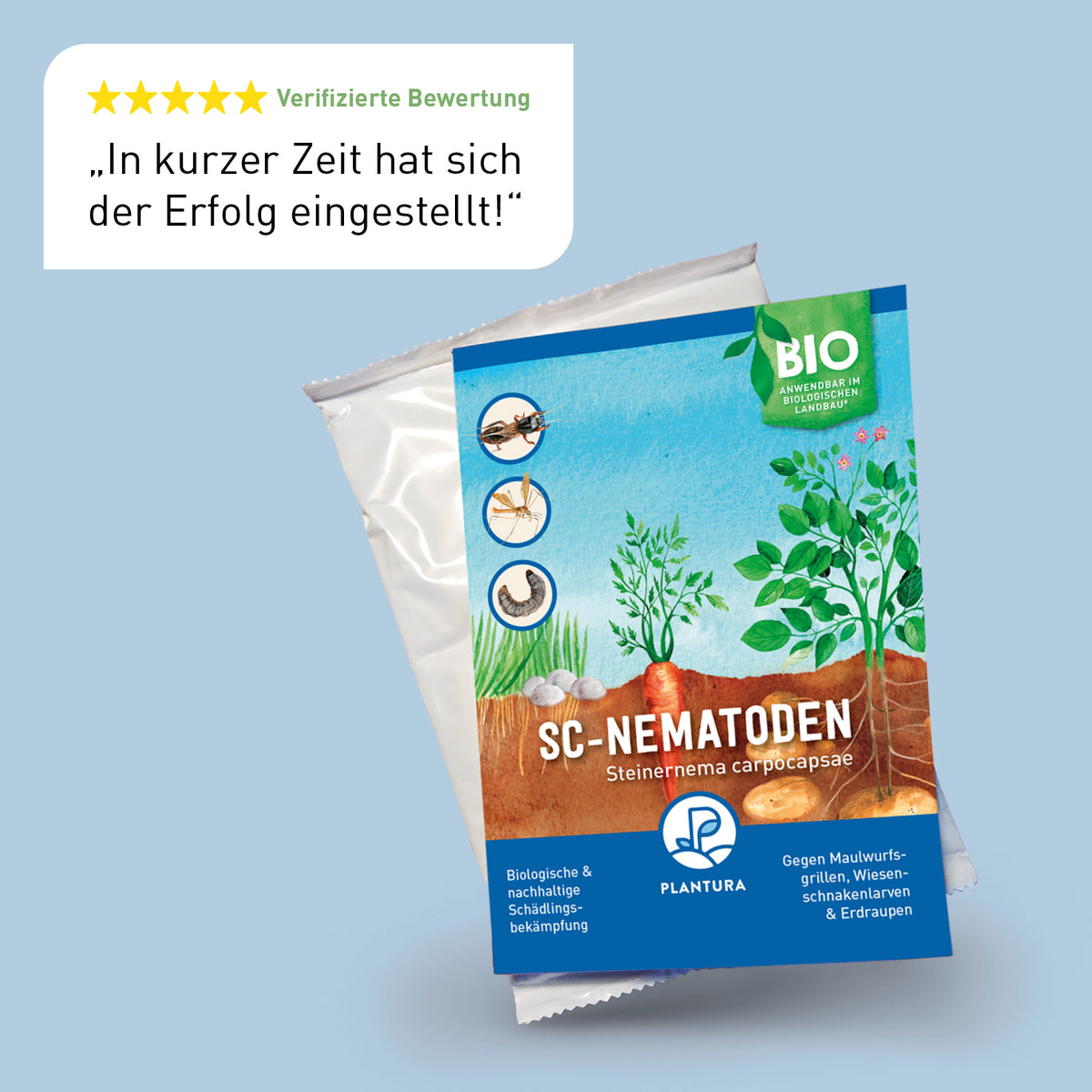 Bewertung der Plantura Nematoden Steinernema carpocapsae