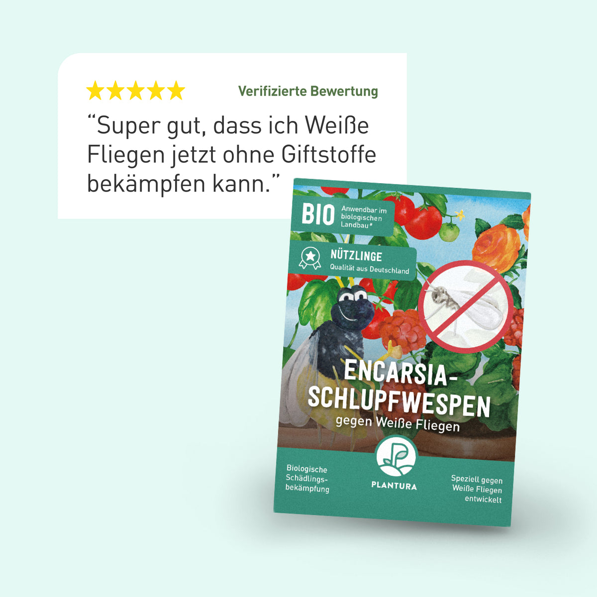 Bewertung der Plantura Encarsia-Schlupfwespen