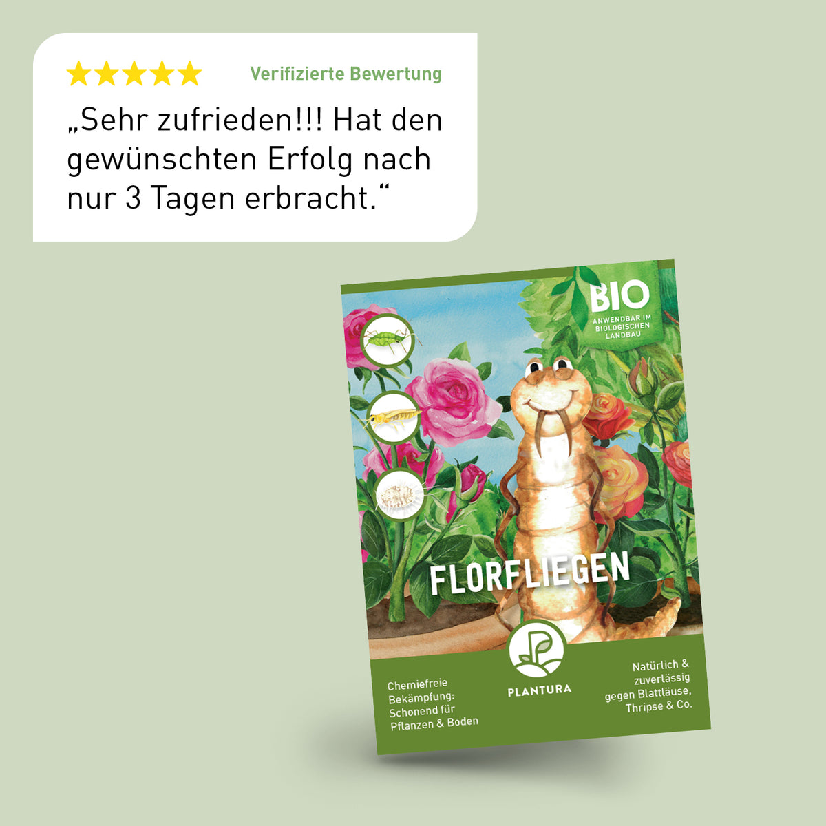 Bewertung der Plantura Florfliegen