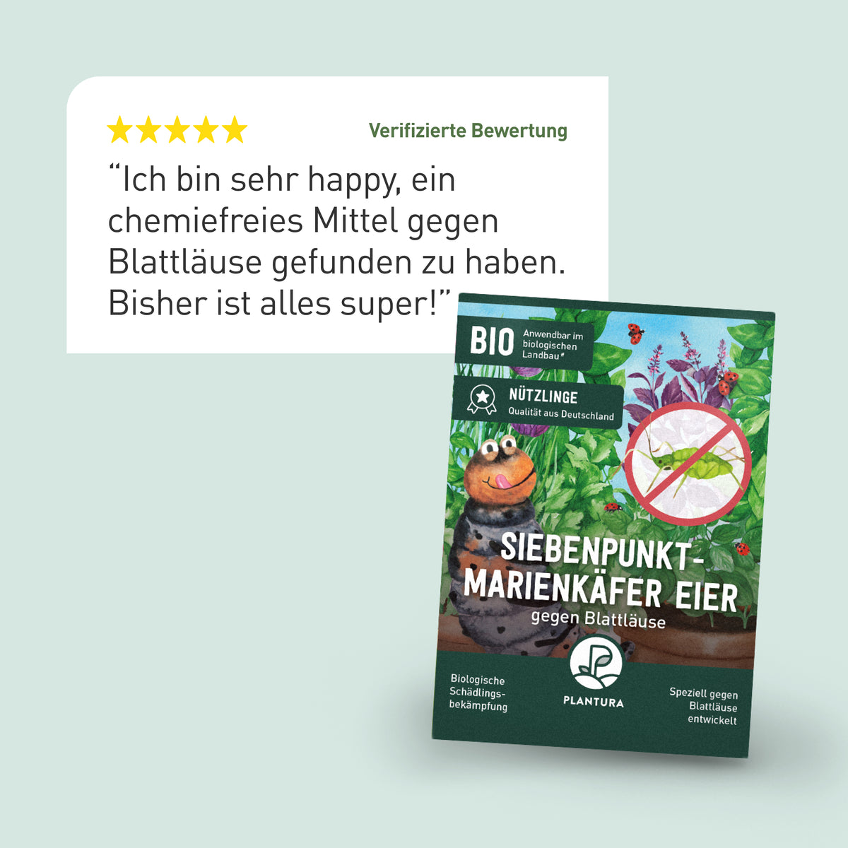 Bewertung der Plantura Marienkäferlarven