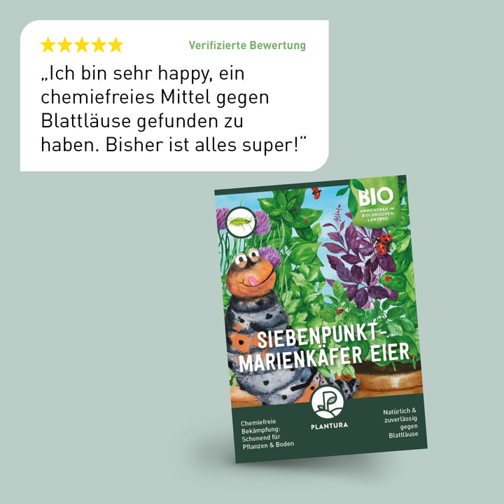 Bewertung der Plantura Marienkäferlarven