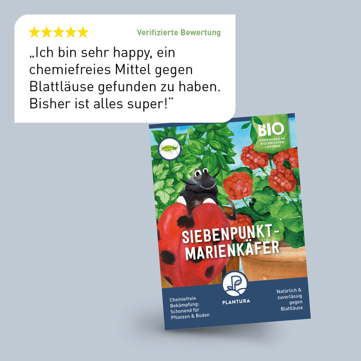 Bewertung der Plantura Marienkäfer