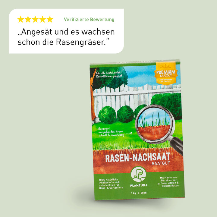 Rasen-Nachsaat 1 kg