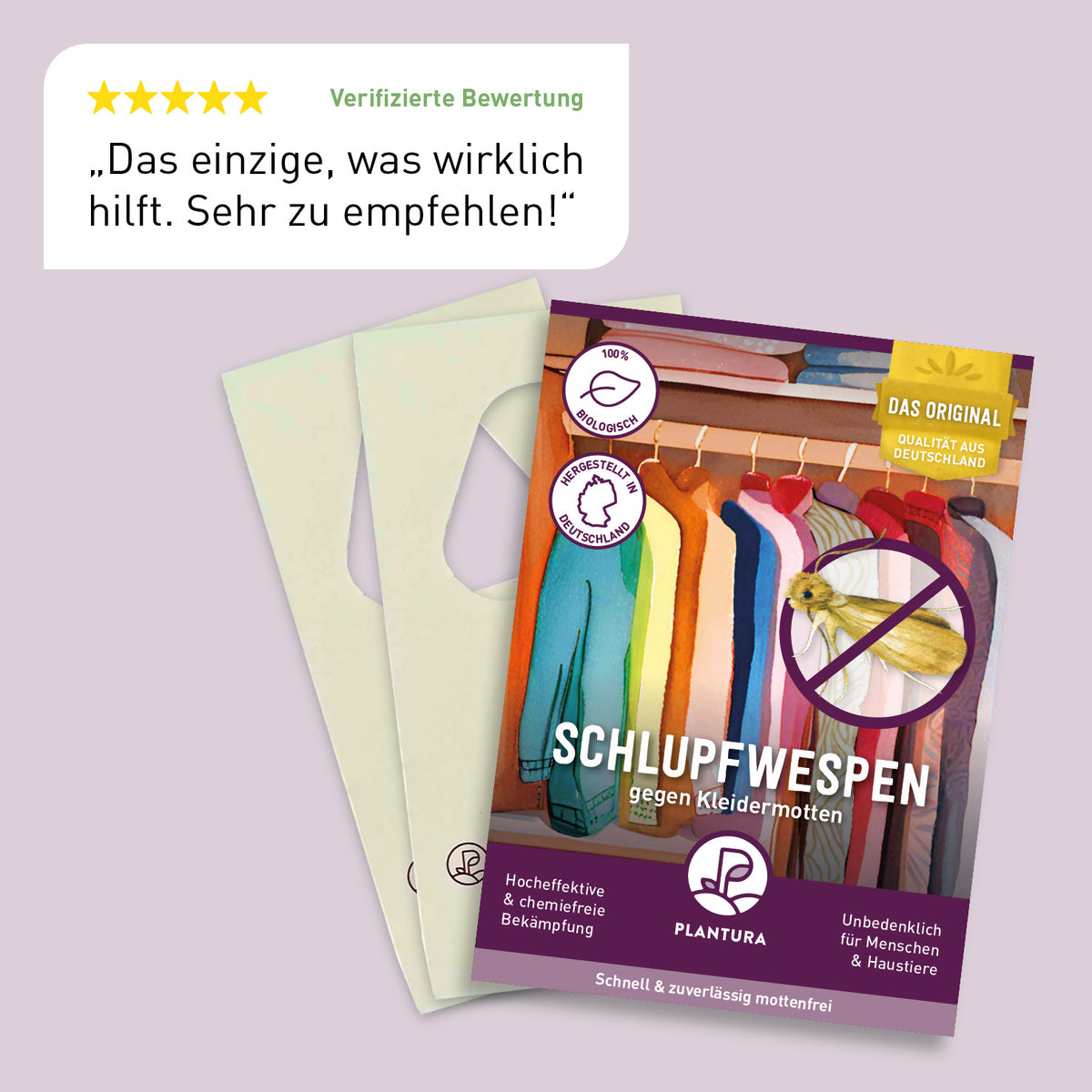 Bewertung der Plantura Schlupfwespen gegen Kleidermotten