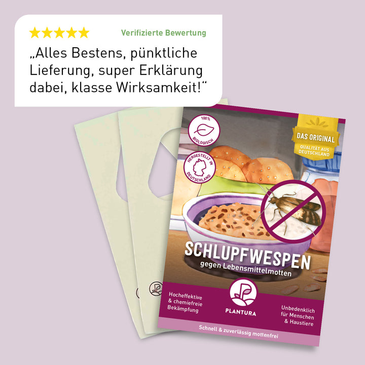 Bewertung der Plantura Schlupfwespen gegen Lebensmittelmotten